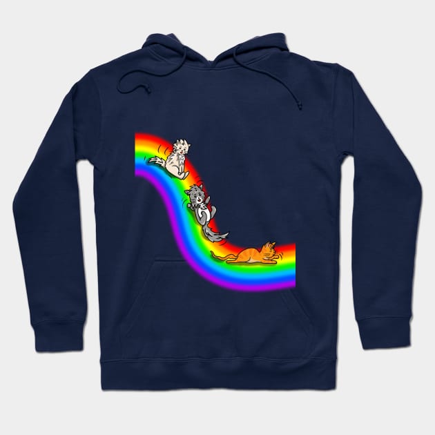 Rainbow Slide of Happiness Hoodie by cuisinecat